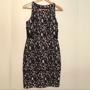 Calvin Klein Lace Bodycon Dress